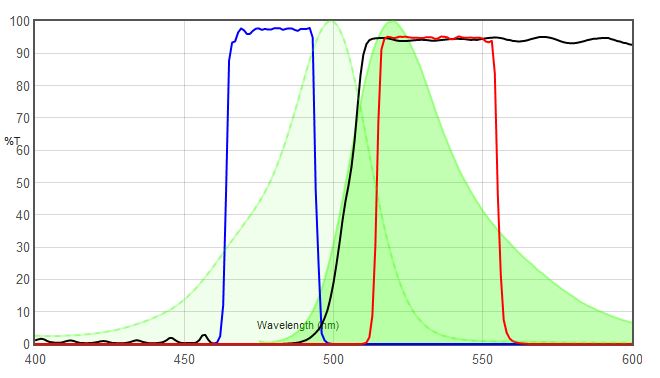 JNO-B(B) VS AlexaFluor 488