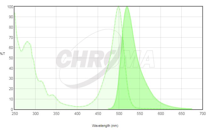 AlexaFluor 488 (주) 제이엔옵틱