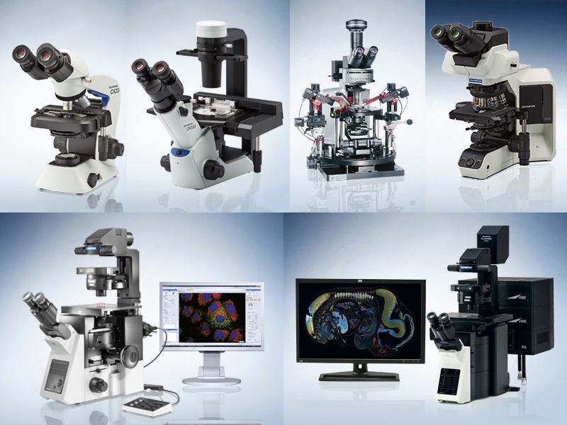 OLYMPUS Bio Microscope